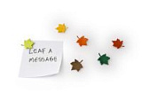 Набор из 6 магнитов leaf a message