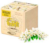 Набор для выращивания "Экокуб. Акация белая"