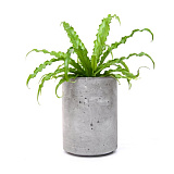 Кашпо из бетона Cylinder 205 Flower pots