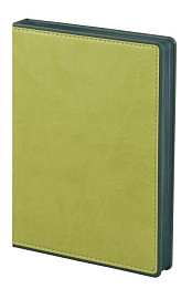 Ежедневник недатированный FreeNote, A5 (Светло-зелёный)