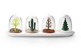 Емкости для специй в наборе four seasons