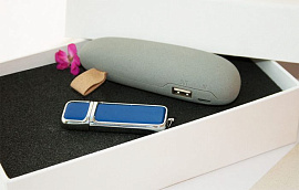Набор 6. Power bank /флешка 8 гб (Синий)