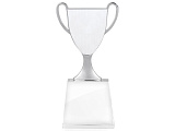 Кубок "Champion"