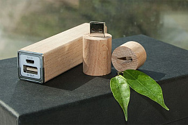 Эко набор в подарочной упаковке черный: power bank на 2600 mah, флешка 16 гб (Бежевый)