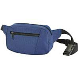Поясная сумка Fanny Pack