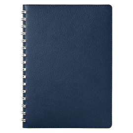 Ежедневник Portobello Trend, Vista, недатированный (Синий)