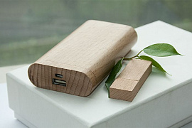 Набор ECOALL TEN (упаковка, флешка из липы 64 гб) (Бежевый)