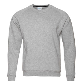 Толстовка мужская 53 Sweatshirt (Серый-меланж)