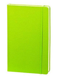 Записная книжка (бренд InFolio) коллекция "Lifestyle", формат A5, переплёт твердый с резинкой (Светло-зелёный)