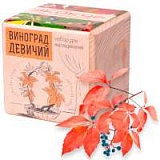 Набор для выращивания "ЭкоКуб. Виноград Девичий"