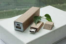 Набор белый с зарядным устройсвом ЭКО+ : power bank на 2600 mah, флешка 4 гб (Бежевый)