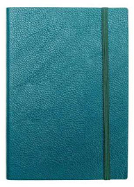 Ежедневник недатированный (бренд InFolio) коллекция Prime, формат A5 (Зелёный)