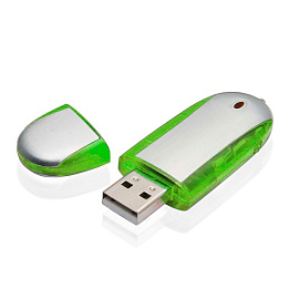 Флешка PM004 4 гб. USB 2.0 (Зелёный)