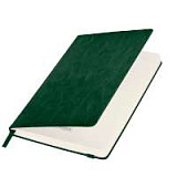 Ежедневник недатированный Voyage BtoBook